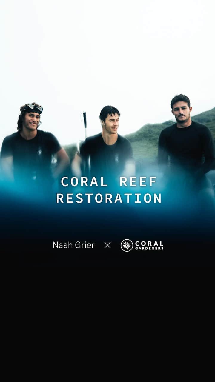 ナッシュ・グリアのインスタグラム：「Adopt a super coral & join the fight for a better future! coralgardeners.org  video/edit by: @ryan_borne」