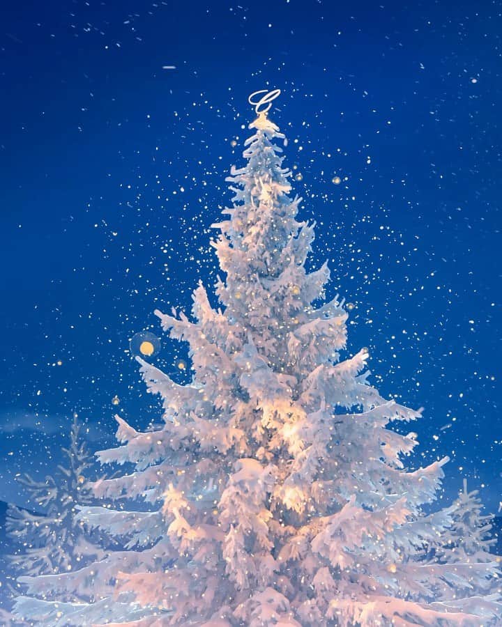 のインスタグラム：「Wishing you a happy holiday full of love, and joy! Enjoy the magic of the night with Arty and his dearest friends under the dazzling Chopard tree. #ArtyTheBear」