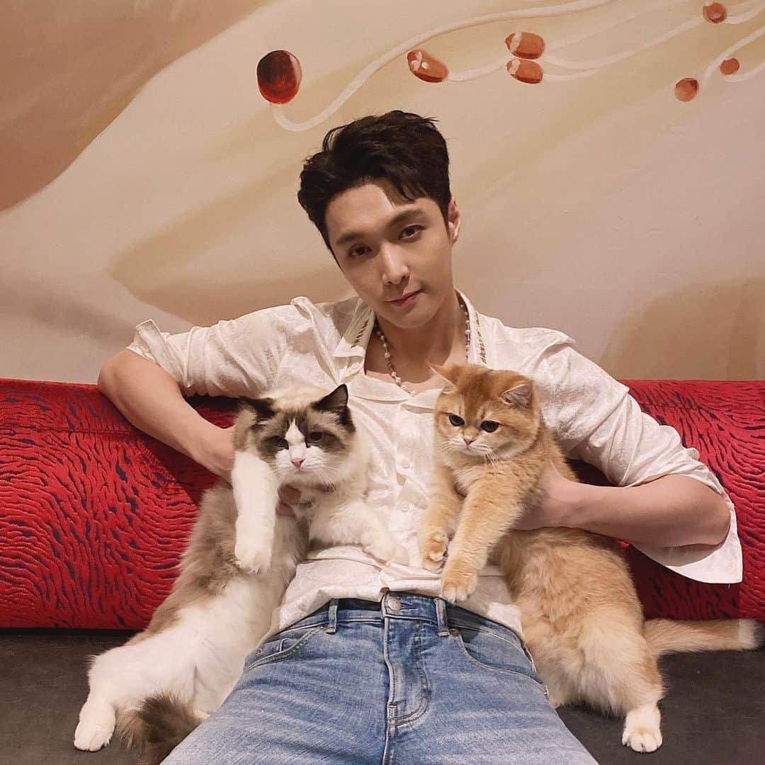 レイ さんのインスタグラム写真 - (レイ Instagram)「Merry Christmas everyone! I’m wishing everyone a safe and happy day! 🎄🎄圣诞快乐」12月25日 3時41分 - layzhang