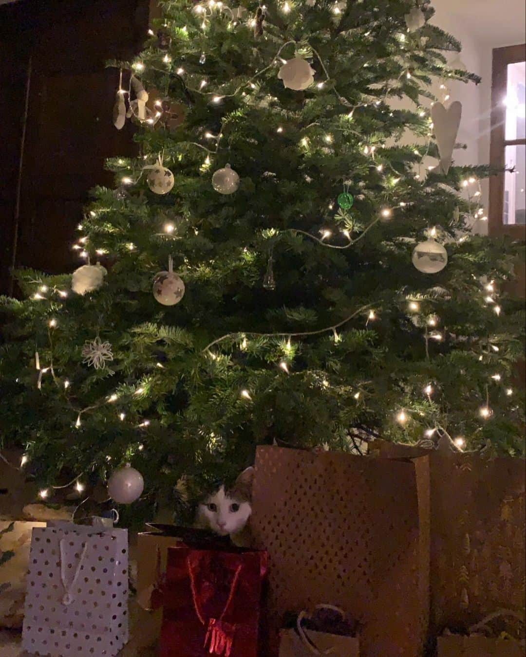 のインスタグラム：「🎁」