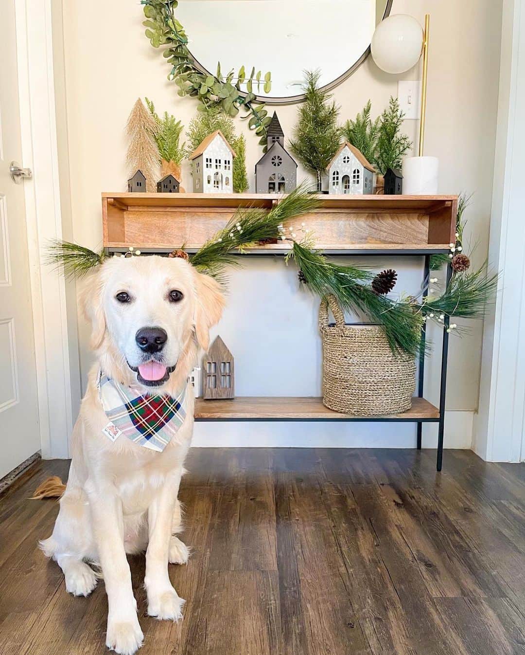 west elmさんのインスタグラム写真 - (west elmInstagram)「We love seeing your holiday-ready homes! Share your style and tag @westelm 🎄🎄🎄 (Photos: @soundsofdesign, @wanderingmyhome, @ellieandbirch, @theinsidecollective, @heidinoelledesigns, @planningpretty)」12月25日 5時13分 - westelm