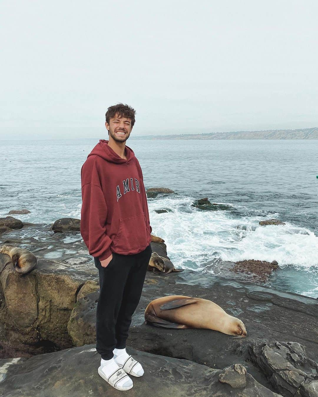 キャメロン・ダラスさんのインスタグラム写真 - (キャメロン・ダラスInstagram)「What more could I ask for? 🦭」12月25日 6時57分 - camerondallas