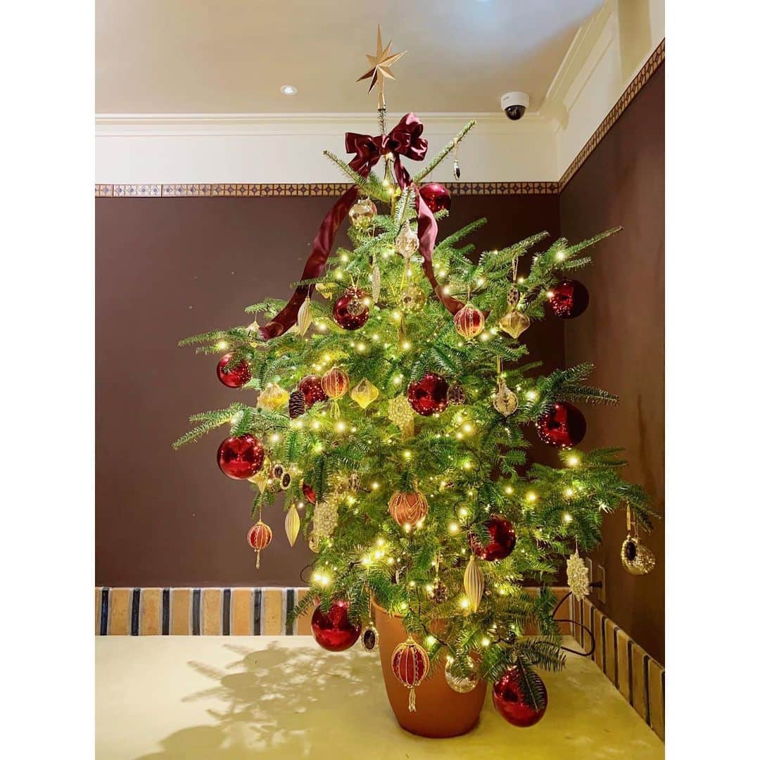 川島幸恵さんのインスタグラム写真 - (川島幸恵Instagram)「🎄🎄🎄﻿ ﻿ HappyMerryX'mas🎅🏻🎁✨﻿ ﻿ ﻿ #christmas #xmas﻿ #christmastree﻿ #green #illumination﻿ #20201225」12月25日 8時00分 - sachie118
