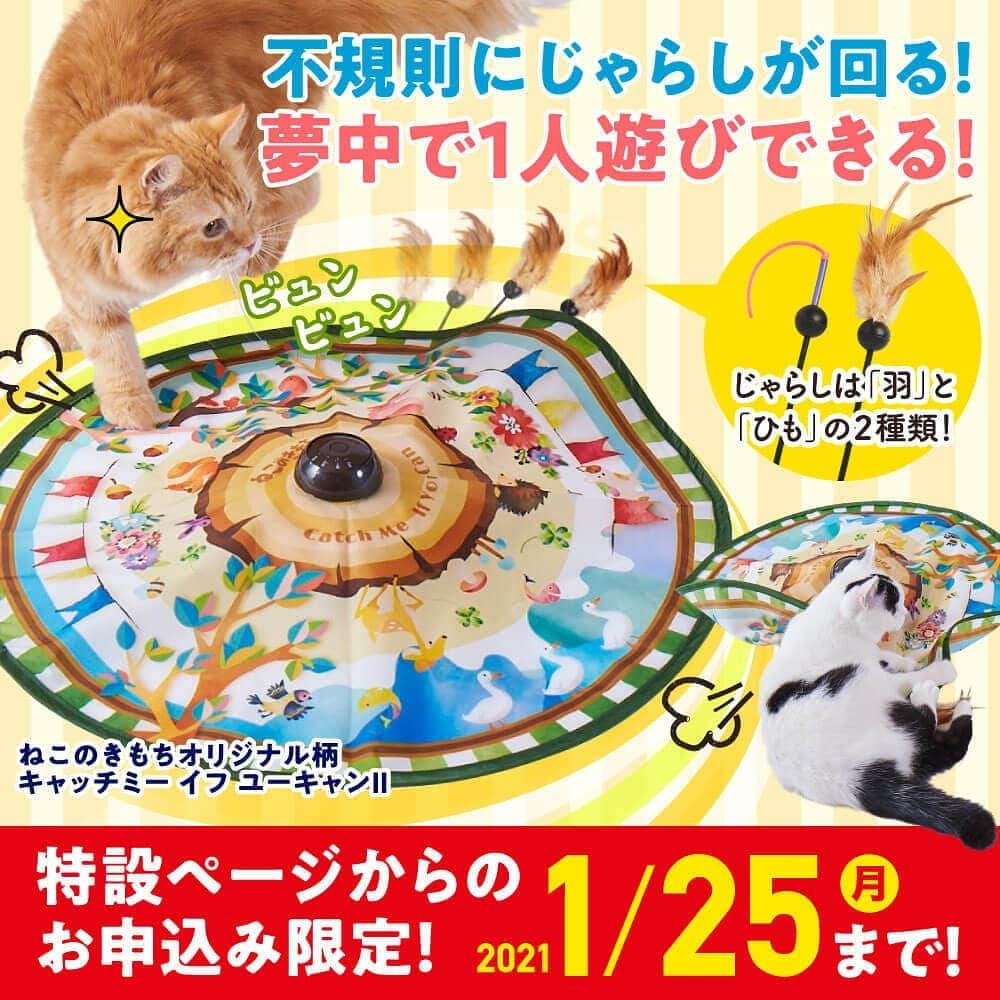 猫壱（ねこいち•ネコイチ）さんのインスタグラム写真 - (猫壱（ねこいち•ネコイチ）Instagram)「雑誌　#ねこのきもち　とコラボしたオリジナルの大人かわいい「#キャッチミーイフユーキャン2 」が購買特典として登場です🐱👍  しかも「キャッチミーイフユーキャンⅡ」つきの『ねこのきもち』2月号は、今だけ1号分無料🥺  12/25（金）AM10時よりストーリー&ハイライトのURLよりご購読申込いただいた方限定でのプレゼントになります✨  毎回ご好評頂いている雑誌『ねこのきもち』とコラボしたキャッチミーイフユーキャン2❤︎ 数量に限りがあるので、どうしても欲しい！という方はお早めにお申込みください👍  #猫壱」12月25日 8時24分 - necoichicojp