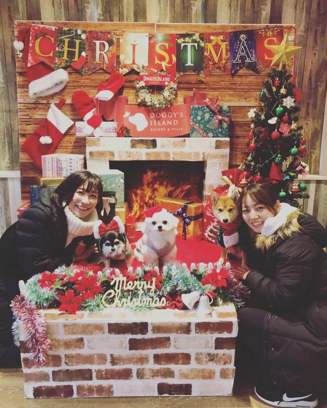 椎名歩美のインスタグラム：「Merry Christmas🎅﻿ ﻿ 先日真弓さん﻿ @hanaharuaroi  とハナちゃんハルくんと記念写真を撮りました😊🎄﻿ ﻿ わんこ達お付き合いありがとう🤣﻿ お気に入りの写真です💓 ﻿ ﻿ #クリスマス﻿ ﻿ ﻿ ﻿ ﻿きょうも穏やかな1日になりますように🍀 ﻿ ﻿」
