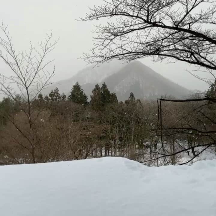 大塚良子のインスタグラム：「White Christmas❄️」