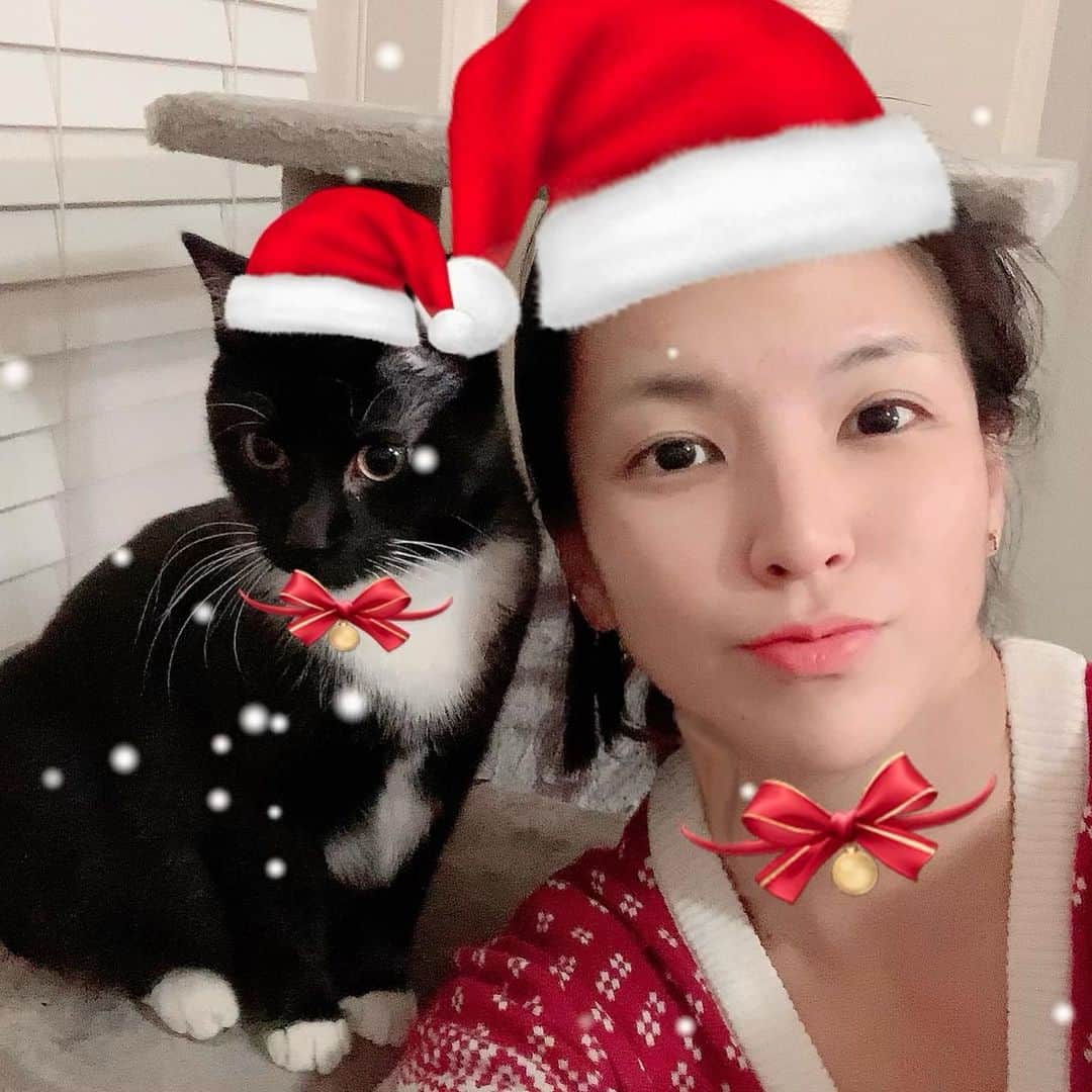 志田光さんのインスタグラム写真 - (志田光Instagram)「Merry Christmas to all from me & Ruta🎄✨ #merrychristmas #メリークリスマス #hikarushida」12月25日 9時02分 - shidahikaru