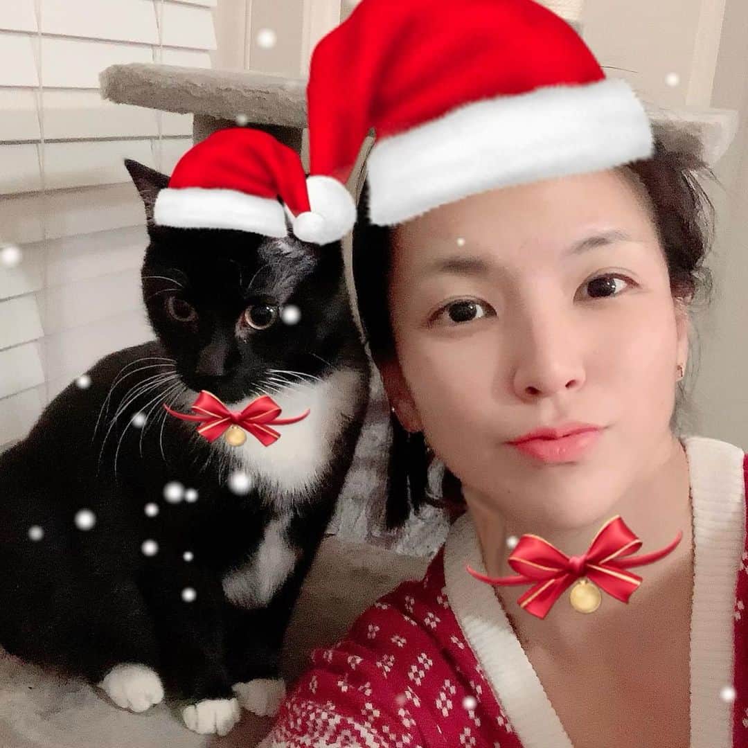 のインスタグラム：「Merry Christmas to all from me & Ruta🎄✨ #merrychristmas #メリークリスマス #hikarushida」