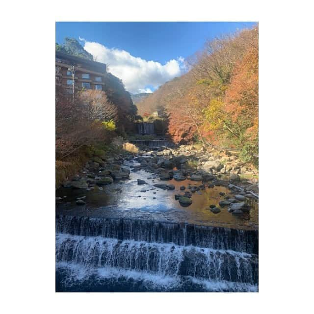 小林由佳さんのインスタグラム写真 - (小林由佳Instagram)「DECEMBER  travel around Hakone🍶♨️」12月25日 9時11分 - yuca_tan