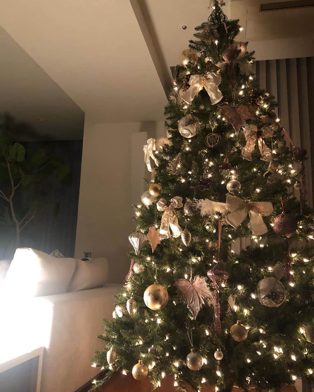 山本未奈子のインスタグラム：「よくご質問いただくのですが、うちの2メートル越えのライト付きクリスマスツリーはUSのMacy’s.comで購入しました。 . 狙い目はクリスマス後のセール。年に数回、日本までも送料無料キャンペーンを行っているのでそこを狙っていくと良いです笑 . タオルやベッドリネンなども比較的、リーズナブルで品質も良いのでおススメです。 . #クリスマス　#クリスマスツリー　#オーナメントは伊勢丹にて購入 #macys #オンラインショッピング　 #marrychristmas」