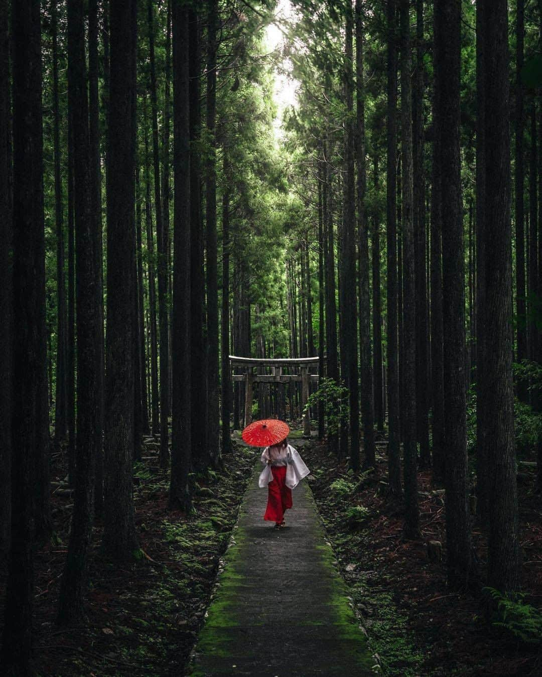 Discover Earthさんのインスタグラム写真 - (Discover EarthInstagram)「Which one of these places would you have liked to visit this year ?  1.Vietnam 2.Hokkaido 3.Kyoto 4.Hokkaido 5.Okinawa 6.Okinawa 7.Taiwan 8.Italy 9.Thailand 10.Taiwan  🌎 #discovertheworld with @rkrkrk  . . . . . #asia  #travel  #travelphotography  #travelgram  #wanderlust  #traveltheworld  #instatravel  #travelblogger  #nature  #traveladdict  #adventure  #naturephotography  #discover  #picoftheday  #photography  #travelling  #photooftheday  #explore  #aroundtheworld  #traveller  #trip  #beautifuldestinations  #traveling  #passionpassport  #traveler  #exploretheworld  #globetrotter  #instagood  #vacation」12月25日 20時00分 - discoverearth