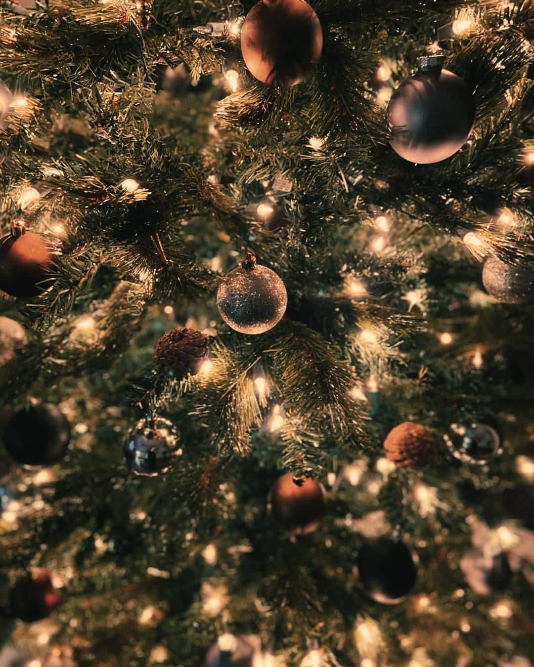 ロクシタンのインスタグラム：「✨We wish you and your loved ones the happiest of days!✨⁣ Now, get back to that IRL tree 🎄⁣ ⁣ #Christmas #ChristmasTree #Festive #Family #Friends #Loccitane」