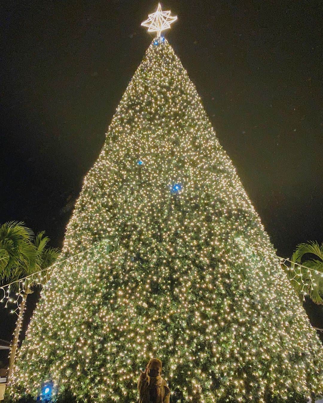 小嶋菜月さんのインスタグラム写真 - (小嶋菜月Instagram)「Merry Christmas💝🎄✨🥂 . . #メリークリスマス #クリスマスツリー」12月25日 18時38分 - kojimanatsuki_offical