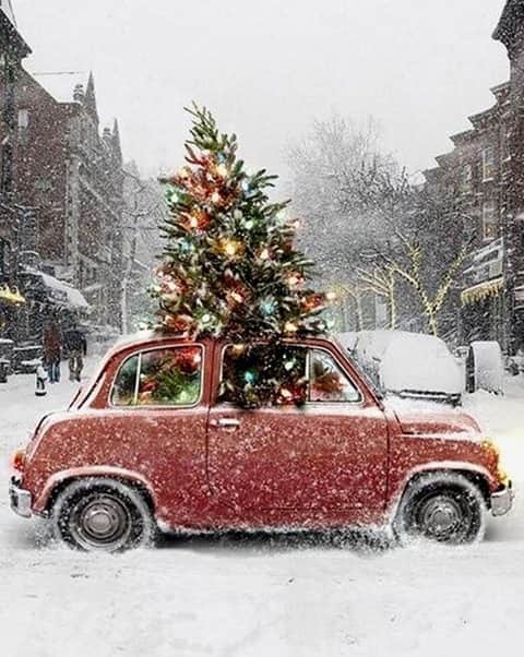 オーレリービダマンのインスタグラム：「The Aurélie Bidermann team wishes you a Merry Christmas ! 🎄 #aureliebidermann」