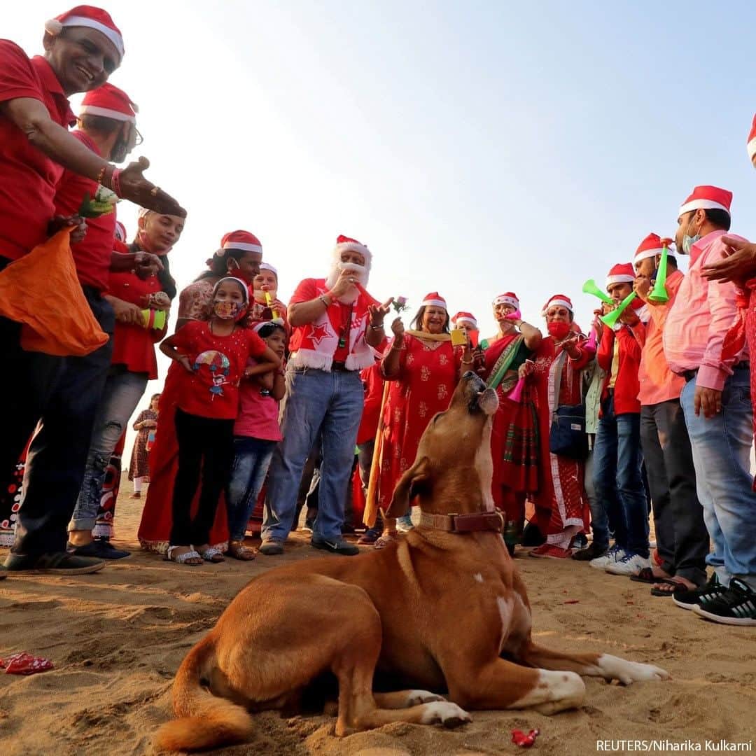 ABC Newsさんのインスタグラム写真 - (ABC NewsInstagram)「A dog howls as people wearing Santa hats take part in a laughter yoga session during Christmas celebrations on a beach in Mumbai, India.  #christmas #yoga #dogsofinstagram」12月25日 19時00分 - abcnews