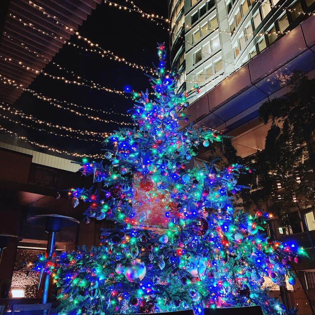 野々村友紀子さんのインスタグラム写真 - (野々村友紀子Instagram)「Merry Xmasです🎄 前にお外で撮ったステキなツリー  昨年は我が家で礼二くんファミリーとクリスマスパーティーをして、とても楽しかったので今年も開催したかったのですが我慢🎉 家族だけで先日少し早めに楽しみました。  チキンやなんやといろいろ食べ過ぎてケーキがいっつも残るので、今年は修士くんが小こい小こいケーキを買ってきてくれました。 これがほんとにお腹いっぱいの家族に丁度ええ！サイズ🎂  冷蔵庫にケーキの箱が入らなくて納豆やタッパーをパズルみたいに動かしまくってやっと押し込むという例年の苦労もなしで最高😆  子供も大きくなってきたので、むかしのようにゲームやダンスや出し物いっぱいのパーティーではなくなってきたのが少しさみしいですが、家族仲良くおしゃべりしつつ楽しい時間を過ごせました。 何より、今年は健康に楽しめることに感謝ですね。  皆様も楽しいクリスマスを🎅🏻⭐️  明日は朝から【サタデープラス】です！」12月25日 19時05分 - nonomura_yukiko