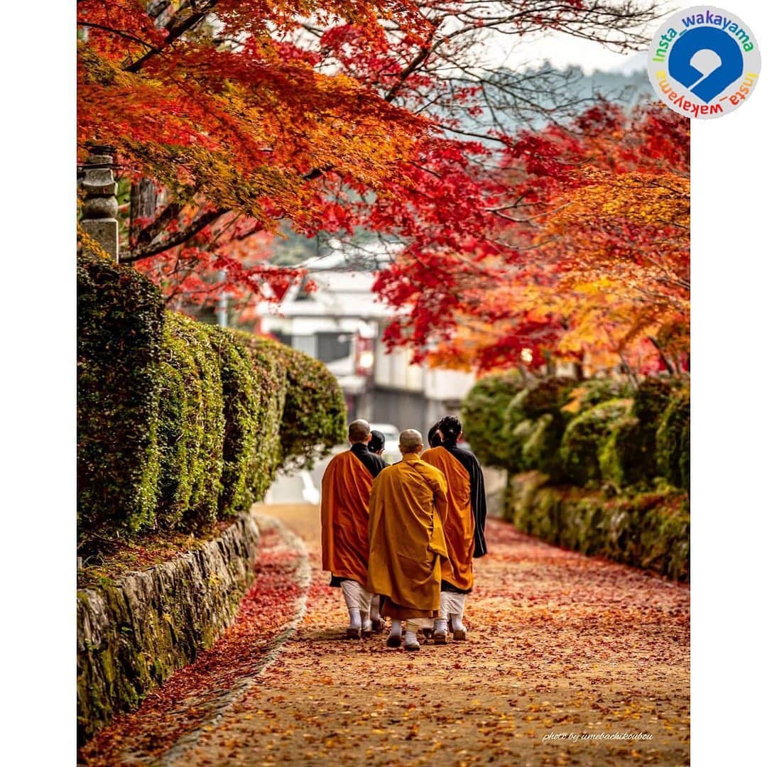 和歌山県さんのインスタグラム写真 - (和歌山県Instagram)「Insta_Wakayamaでは、皆さんがハッシュタグをつけて投稿してくださった写真から、素敵な写真をご紹介させていただきます！ 本日は、和歌山県観光連盟とのコラボ企画「 #グッドトリップ和歌山 」投稿キャンペーンの月間優秀賞（２０２０年１１月）作品をご紹介いたします。 今回は２０枚ものお写真が優秀賞として選ばれましたので、まずはそのう ち１０枚をご紹介します！ . まず１枚目から順に  @harakazu219さん @t.ari373さん @phylloxera.jp さん @hidepom3 さん @kinokawakaos さん @rin_56_78 さん @masa.172 さん @ma_ega さん @corvus_228r さん @naranarakazu さん 以上10名のお写真です。 . 今回は紅葉やイチョウの鮮やかな色が美しいお写真が多かったですね(^^)  参考：https://www.wakayama-kanko.or.jp/goodtrip/（和歌山県観光連盟HP） . @insta_wakayama では、引き続き #グッドトリップ和歌山 投稿キャンペーンを開催中です！ 和歌山県の素敵なお写真を投稿していただいた方々の中から、毎月10名様にプレミア和歌山商品（5,000円相当）をプレゼント🎁します！ 詳しくは @insta_wakayama のプロフィールにあるURLをチェックしてください。 また和歌山に関する投稿にはぜひ「 #insta_wakayama 」ハッシュタグをつけてください★ 和歌山の魅力を皆さんで発信していきましょう！ ハッシュタグをつけるとともに、写真の場所の記載や位置情報の登録をしていただければ幸いです🎵 . #和歌山県 #観光和歌山 #風景 #風景和歌山 #なんて素敵な和歌山なんでしょう #wakayama #insta_wakayama #wakayamagram #instameet_wakayama #nagomi_wakayama #visitwakayama」12月25日 19時15分 - insta_wakayama