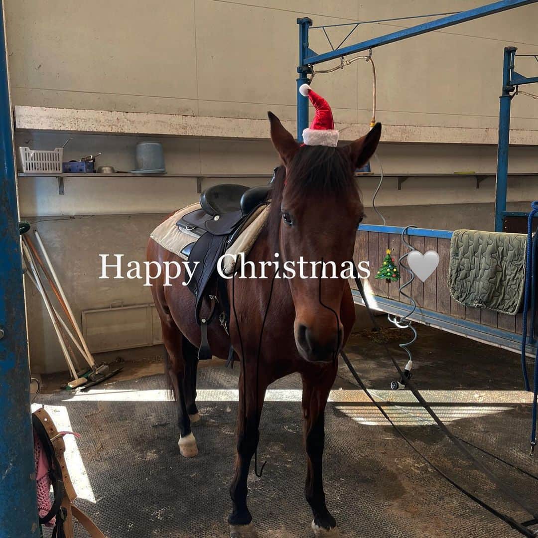 のインスタグラム：「Happy  Christmas🎄🐎🤍  #xmas#メリクリ」