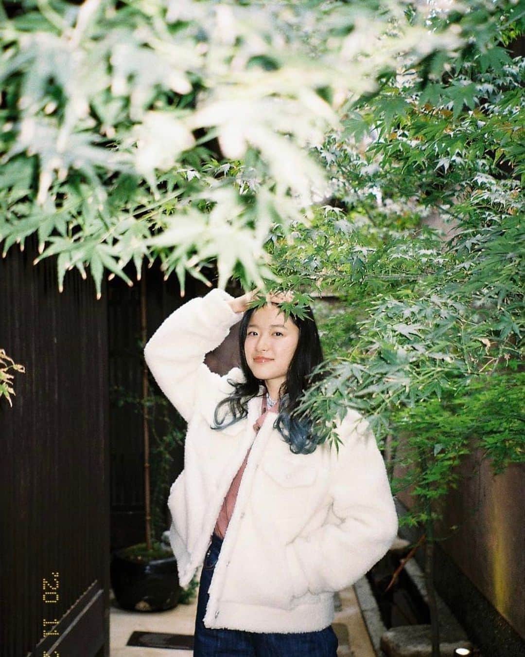 藤野涼子のインスタグラム：「Merry Christmas 🎄  写真全く関係ないけど…。 Wish all of you have a happy Christmas.  #merrychristmas #kyoto  #京都 #ミヤコが京都にやって来た」
