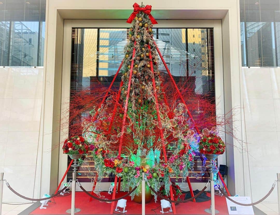 品川プリンスホテルさんのインスタグラム写真 品川プリンスホテルinstagram 今日はクリスマスイブ 皆さまいかがお過ごしですか 明日のクリスマスも素敵な1日になりますように Share Your Own Images With Us By ging Shinagawaprincehotel
