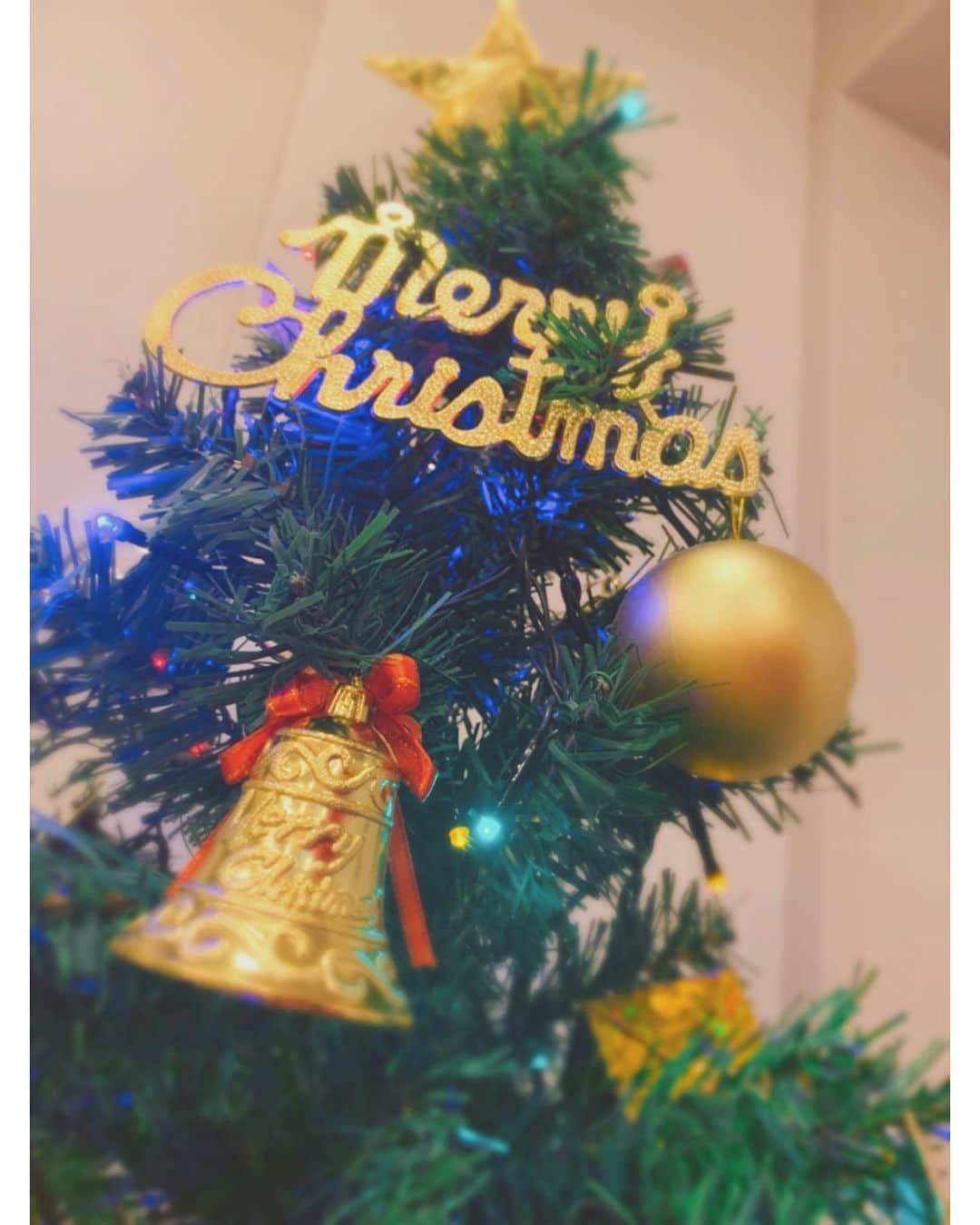 佐々木希さんのインスタグラム写真 - (佐々木希Instagram)「上から食べ物が落ちてこないかと、じっと待っている…🐶  皆様、素敵なXmasを🎄」12月25日 19時21分 - nozomisasaki_official