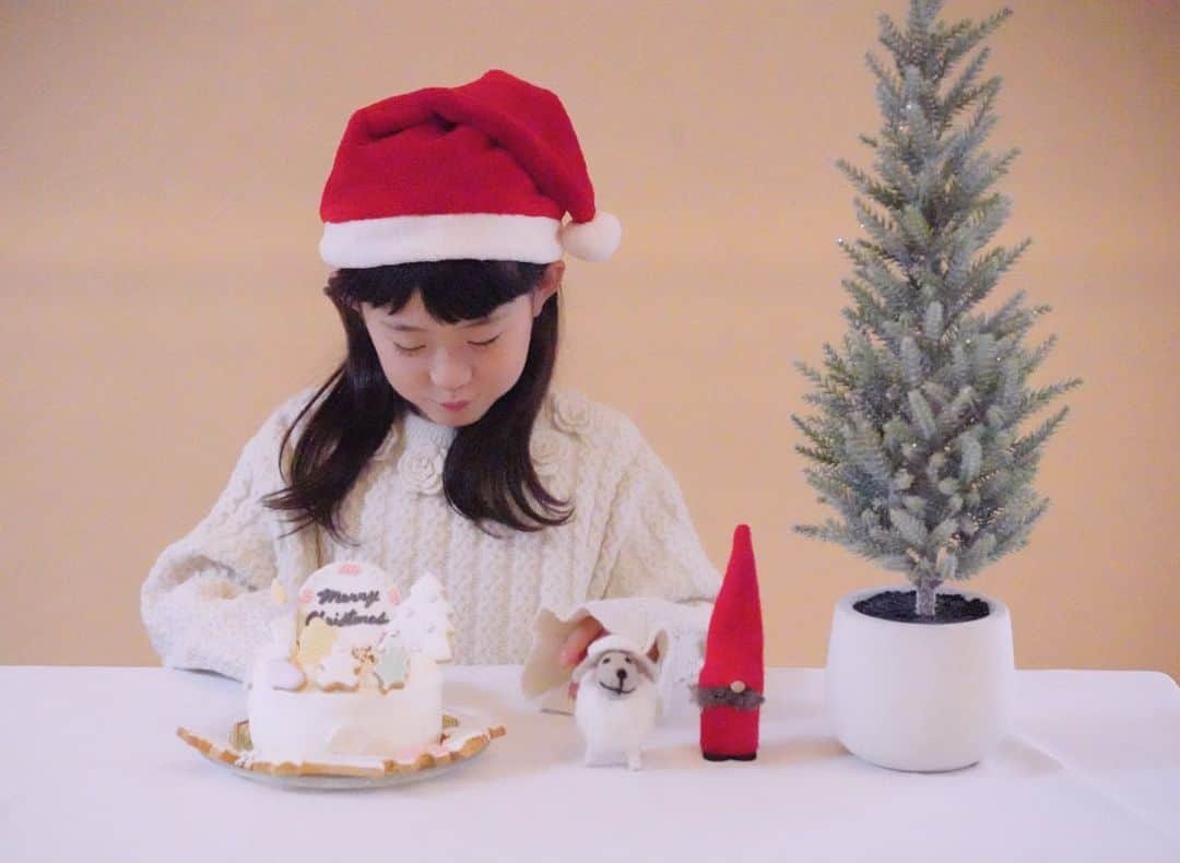 *yoko*さんのインスタグラム写真 - (*yoko*Instagram)「◇2020.12.25  Merry　Christmas🎂✨  ケーキは、心乃と一緒に飾りつけ♡ 可愛くできた♡  サンタさんからは、すみっこぐらしのパソコン🎁 私がリモートで家で仕事してると、パソコンをすごくやりたがってて、やっと自分のパソコン手に入れた心乃。 かっこよくパチパチとキーを打ってます。笑  #アイシングクッキー  @cookie_ya_sun  ありがとう✨  #クリスマス#MerryChristmas#クリスマスケーキ#7歳」12月25日 19時26分 - yococono