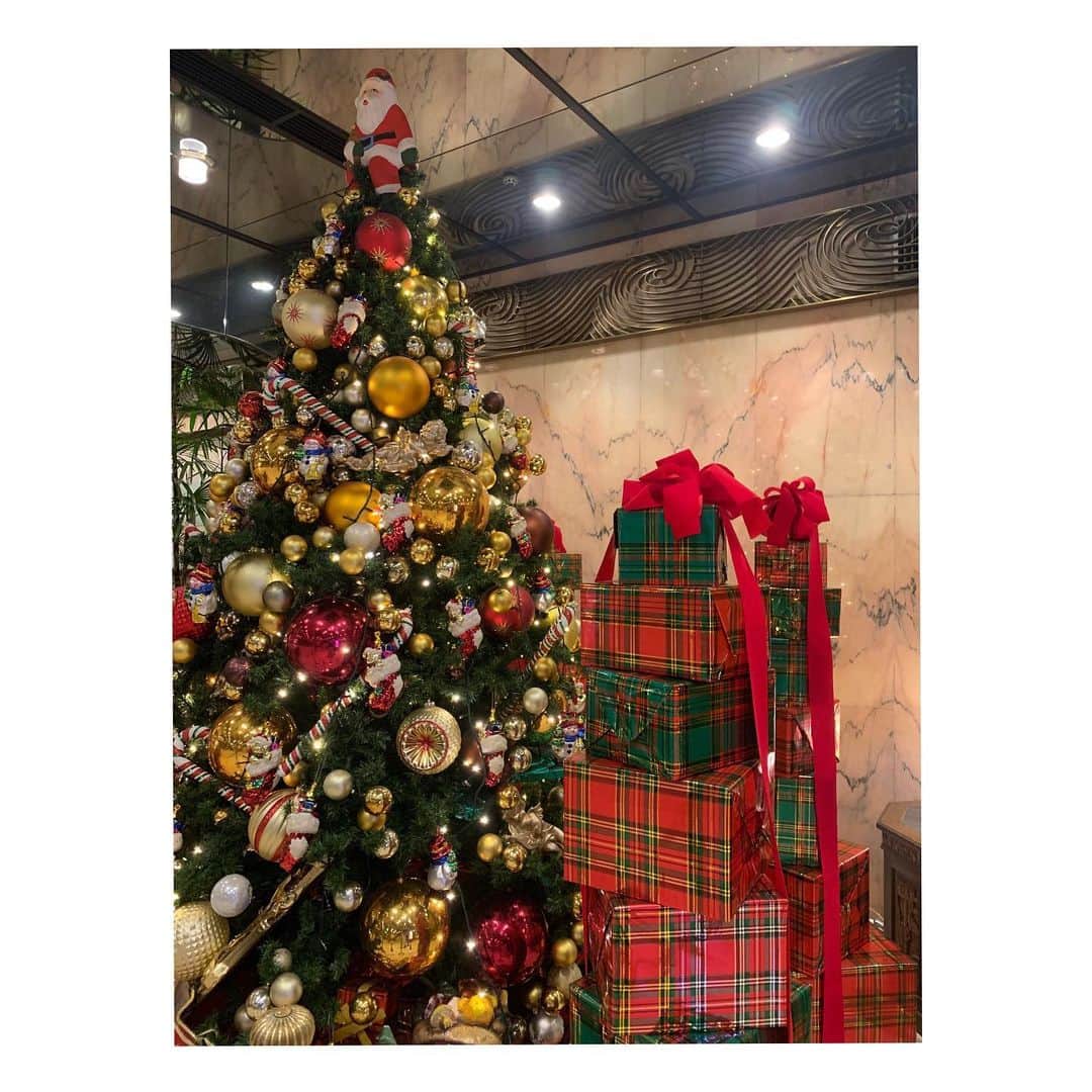 高野桃子さんのインスタグラム写真 - (高野桃子Instagram)「クリスマスツリーって毎年毎年何十回見てもワクワクする🎄🎁  #クリスマスツリー  #christmastree」12月25日 19時27分 - takano_sd