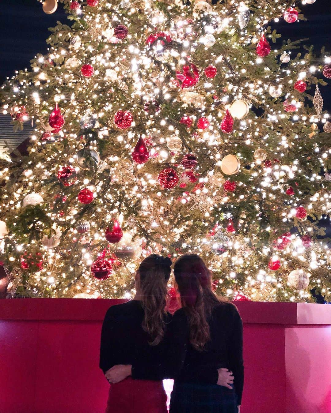 のインスタグラム：「🎄𝑀𝐸𝑅𝑅𝑌 𝐶𝐻𝑅𝐼𝑆𝑇𝑀𝐴𝑆🎄﻿ ﻿ ﻿ ﻿ ﻿ ﻿ .」