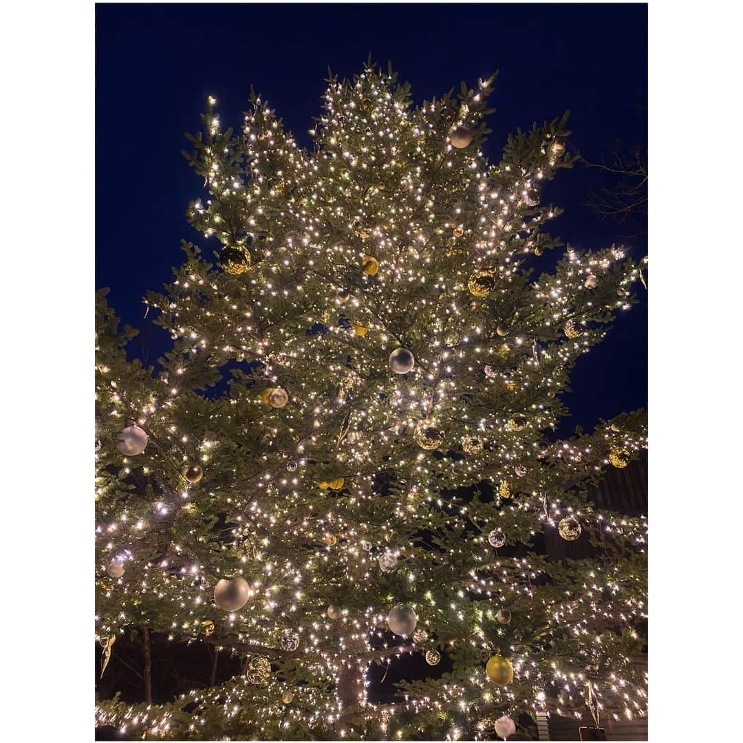 森麻季のインスタグラム：「🎄  Merry Christmas  #クリスマス  #クリスマスツリー」