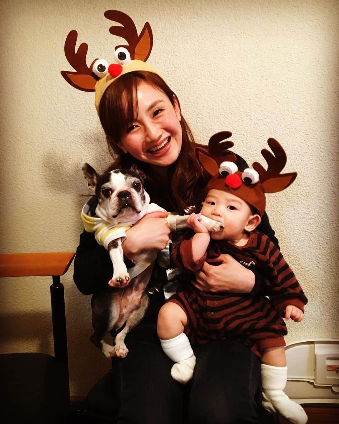 のインスタグラム：「🦌🎄🦌🎄 MERRY CHRISTMAS to everyone ♥️🎅 ・ はじめてのクリスマス♥️ 楽しい時間にしてくれてありがとう😆 ・ みなさんも温かい夜をー🦌 ・ ・ #4monthboy #firstchristmas #bostonterrier #dogandbaby #4ヶ月ベビー #初めてのクリスマス #100均の鹿 #クリスマスケーキ #シェシバタ #プレゼント #今日ポチりました🤣 #手抜きママ ♥️」