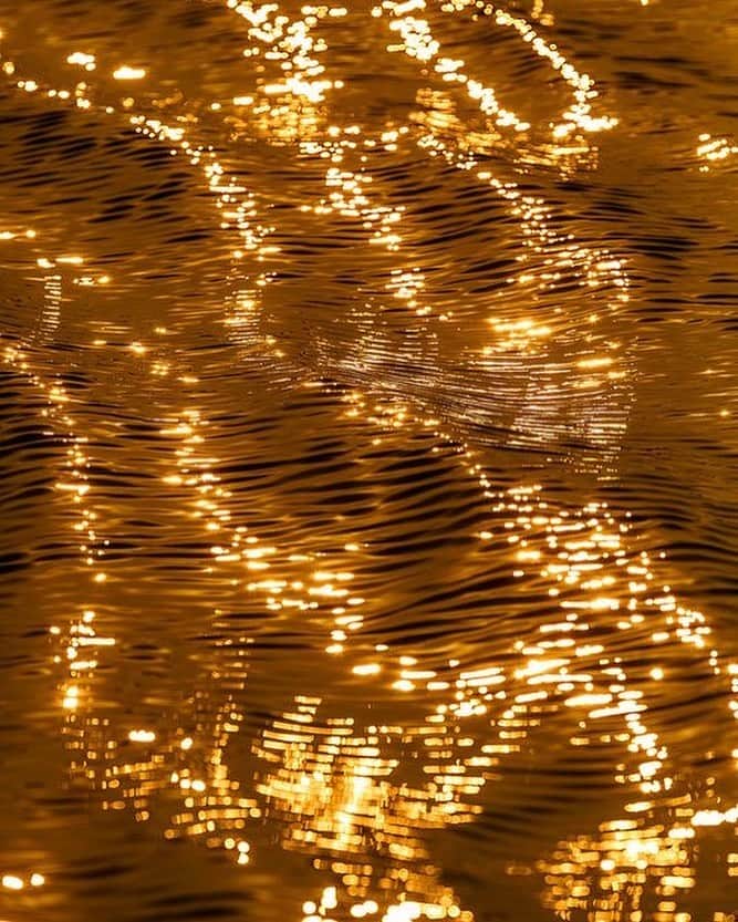 ウィンターケイトのインスタグラム：「California glistening ✨」