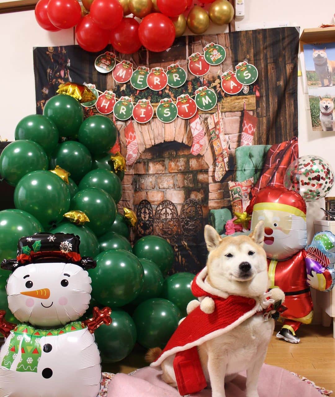 こなつさんのインスタグラム写真 - (こなつInstagram)「Merry Xmas🎄🎁🎅  頑張って風船膨らませました🎈  長崎の姉がシュトーレンを送ってくれました😋　 @asakoropan  お気に入りのパン屋さんです♪  * * * #シュトレン #シュトーレン　#メリークリスマス　#クリスマス」12月25日 11時07分 - makonatu