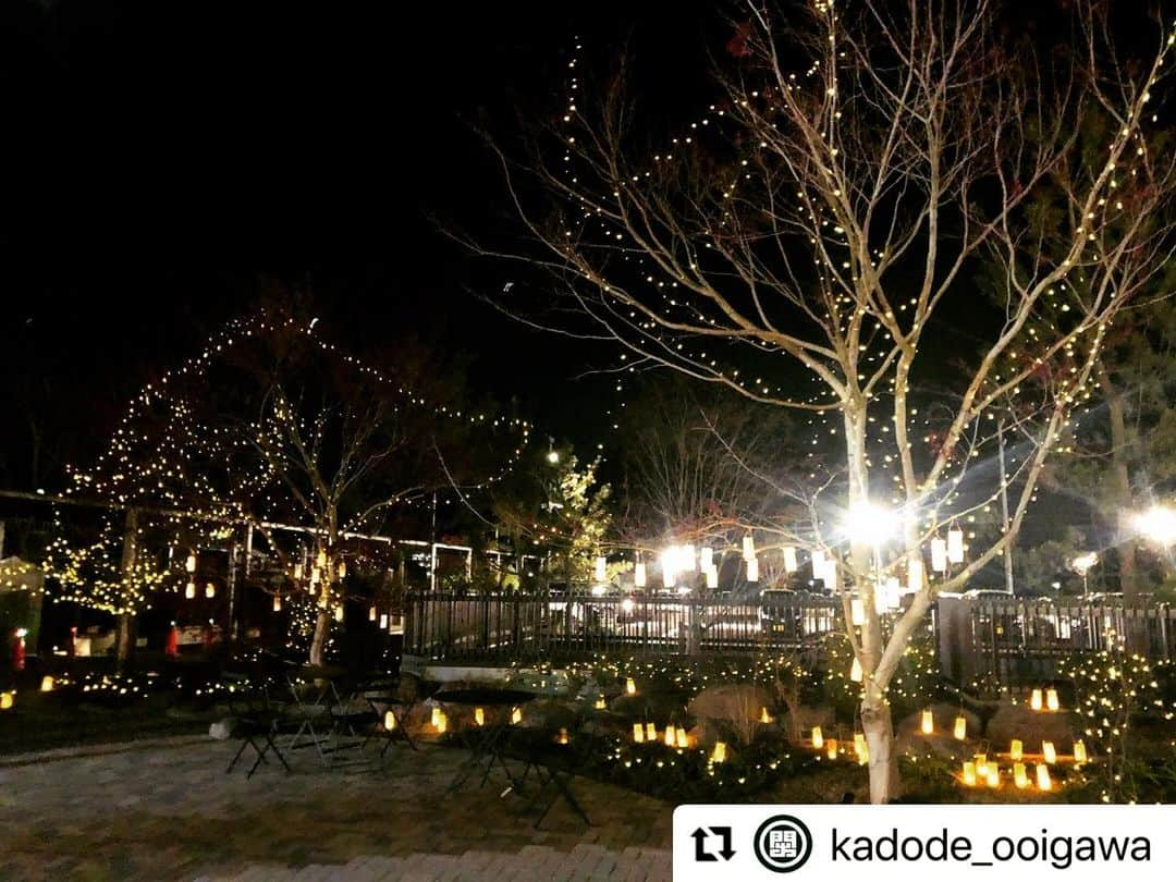 島田市さんのインスタグラム写真 - (島田市Instagram)「メリークリスマス🎄🎅✨ 25日夜まで！KADODE OOIGAWAでクリスマスキャンドルナイトを開催しています。 あったかいスープの販売もありますよ〜😊KADODEでほっこり、あったかいクリスマスを過ごしませんか？🎄  #Repost @kadode_ooigawa with @make_repost ・・・ 《イベントのご案内》﻿ ﻿ kadode ooigawaオープンしてから初めてのクリスマス🎄﻿ #カドデキャンドルナイト を開催します！﻿ マルシェとカフェの間のイベント広場をイルミネーションします。﻿ イベント広場にある約300個のランタンには、地元の幼稚園、保育園の子供たち、またkadodeスタッフが書いた個性溢れる絵が描かれています。ぜひご覧ください。﻿ ﻿ 普段は開いていないキッズパーク外からの入り口も特別に開放♪﻿ ※遊具では遊べません。﻿ ﻿ SLも特別にあの色にライトアップ💡﻿ ﻿ 今年は、kadodeで新鮮な食材をゲット、カドデキャンドルナイトを見てからおうちクリスマスを楽しみませんか？﻿ ﻿ 開催日﻿ 2020/12/23(水)〜2020/12/25(金)﻿ 各日17時〜19時まで﻿ ※12/24.25はイベント広場にてスープの販売を行います。﻿ ﻿ ぜひ皆さまお越しください♪﻿ ﻿ ﻿ ※新型コロナウィルス感染拡大防止のため、マスクの着用、入口での手指消毒、検温、ソーシャルディスタンスにご協力をお願い致します。﻿ ﻿ ﻿ ※近隣店舗、周辺道路への駐車、近隣住民敷地内でのUターンなどはご遠慮ください。﻿ ﻿ ﻿ #2020年11月12日オープン﻿ #kadodeooigawa﻿ #かどでおおいがわ﻿ #カドデオオイガワ﻿ #JA大井川﻿ #島田 #島田市緑茶化計画﻿ #おおいなび﻿ #大井川鐵道 #sl﻿ #富士山静岡空港から20分﻿ #焼津 #藤枝 #川根﻿ #緑茶 #農業 #観光 #体験﻿ #マルシェ #レストラン﻿ #お茶 #緑茶﻿ #イルミネーション ﻿ #ランタン﻿ #おうちクリスマス﻿ #japan_trip #shizuoka﻿ #greentea #kids﻿」12月25日 11時08分 - shimadacity_shizuoka_official