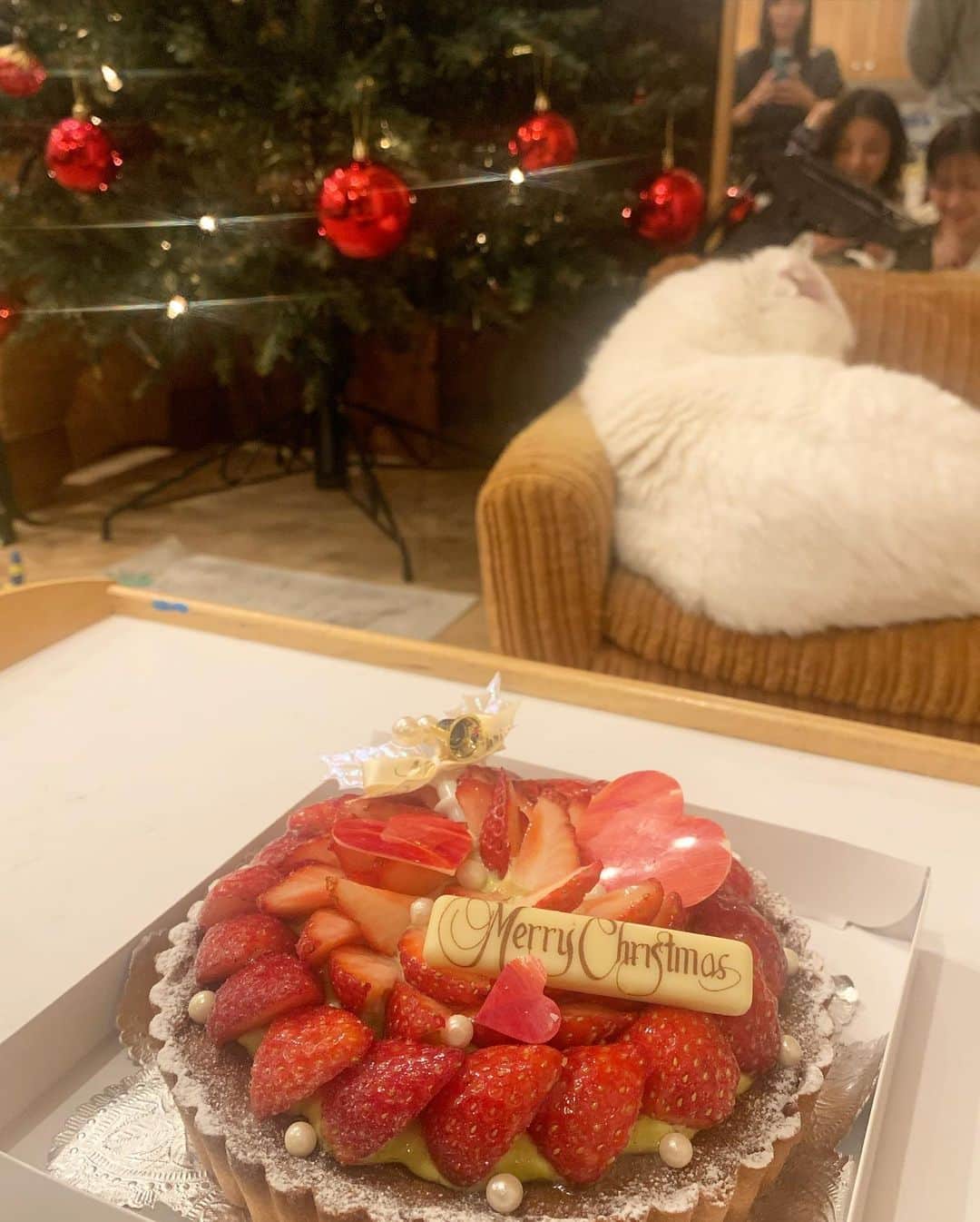 坂本美雨のインスタグラム
