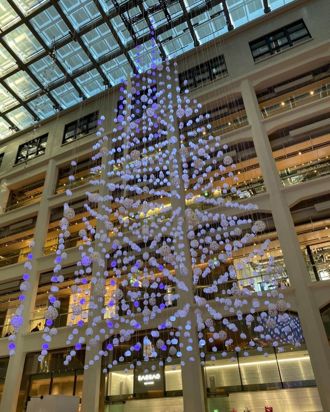 おおたうにのグルメインスタ