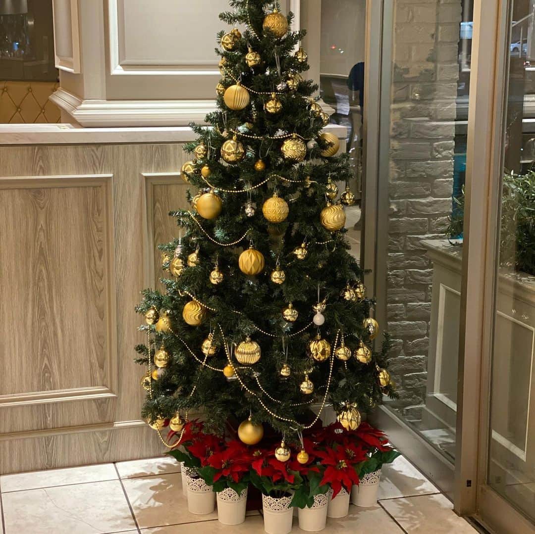 のインスタグラム：「Merry Christmas! 今日はクリスマスですね！ みなさんもクリスマスツリーを飾り今夜はパーティーですね！ サンフェリーチェも店内やテラスにもクリスマスツリーを飾ってクリスマスを祝っています！ それでは、良いクリスマスを過ごしてください！ Wishing You a very Merry Christmas❗️  #サンフェリーチェ #sanfelice #浜松市 #クリスマス #オーガニック #organic #グラスフェッドバター #バターコーヒー #グルテンフリー #浜松カフェ #」