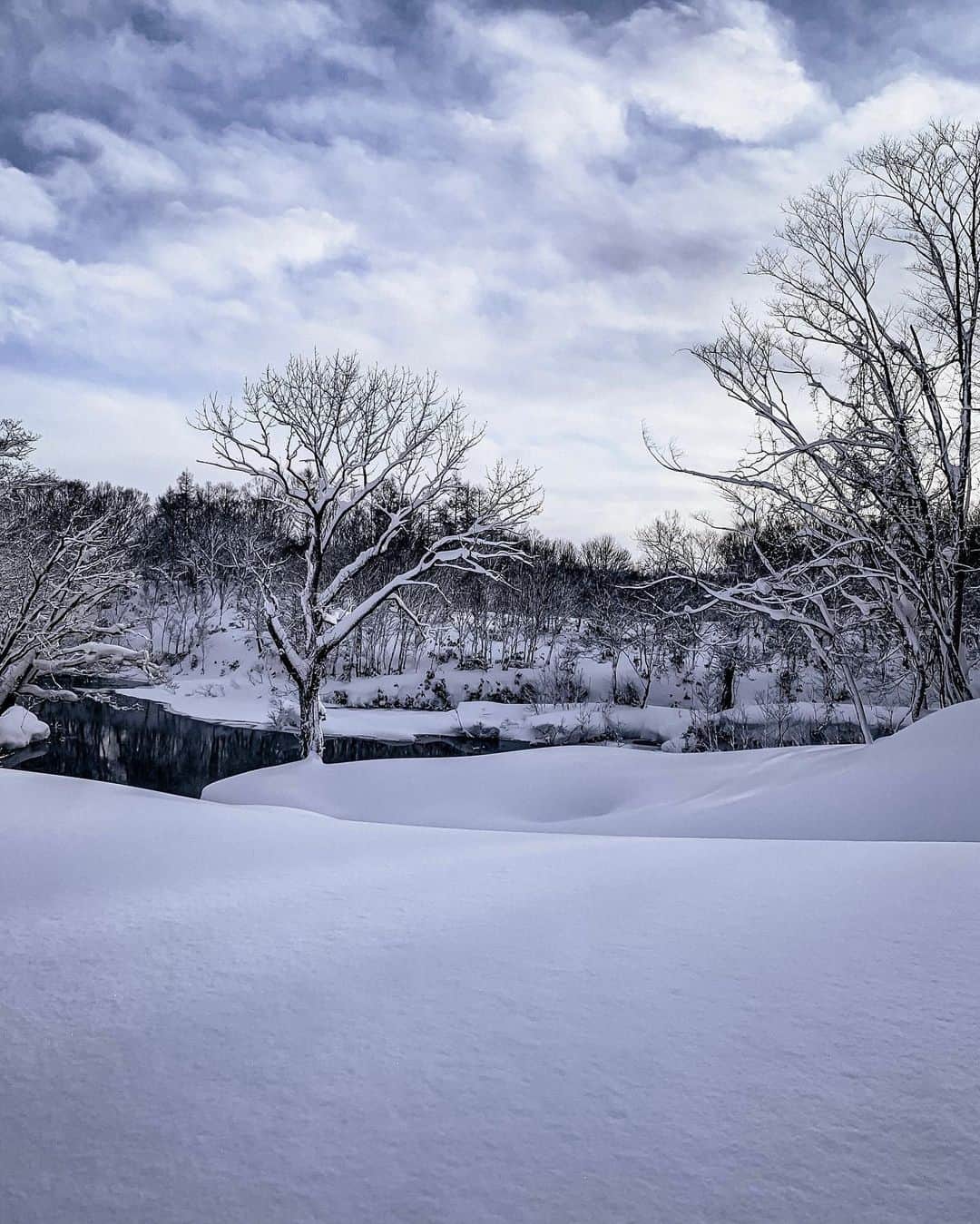 松林裕香さんのインスタグラム写真 - (松林裕香Instagram)「雪の時が一番宿が素敵になりますって、 坐忘林の方が言っていました❄︎ 北海道の雪にちゃんと触ってのははじめてでしたが、ふわっふわでカキ氷触ってる感覚でした。 色も真っ白で、空気の綺麗さが感じられました。 また絶対行きたい宿🥰 .  #坐忘林#倶知安#宿#旅館#雪#北海道#国内旅行#温泉#japan#onsen#hokaido#雪国#Snow」12月25日 12時05分 - yukapiano_