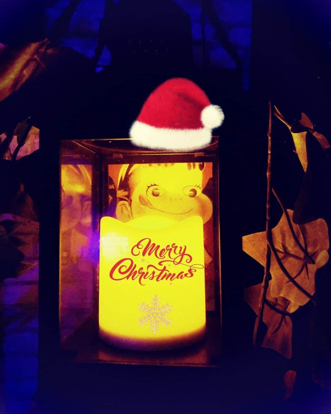 のインスタグラム：「Merry  Christmas🎄 素敵なクリスマスを お過ごしください🍗🍷☃️」