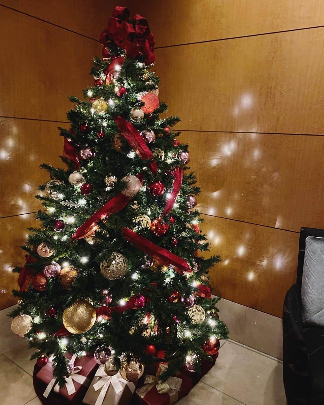瀧口友里奈さんのインスタグラム写真 - (瀧口友里奈Instagram)「・ 𝕄𝕖𝕣𝕣𝕪 ℂ𝕙𝕣𝕚𝕤𝕥𝕞𝕒𝕤  優しい一日になりますように🕊 ・ 今夜は年内最後の生放送です🎅 ・ #merrychristmas #christmas2020  #christmastree #christmasdecorations🎄  #クリスマスツリー #サンタは来ましたか」12月25日 12時15分 - yurinatakiguchi