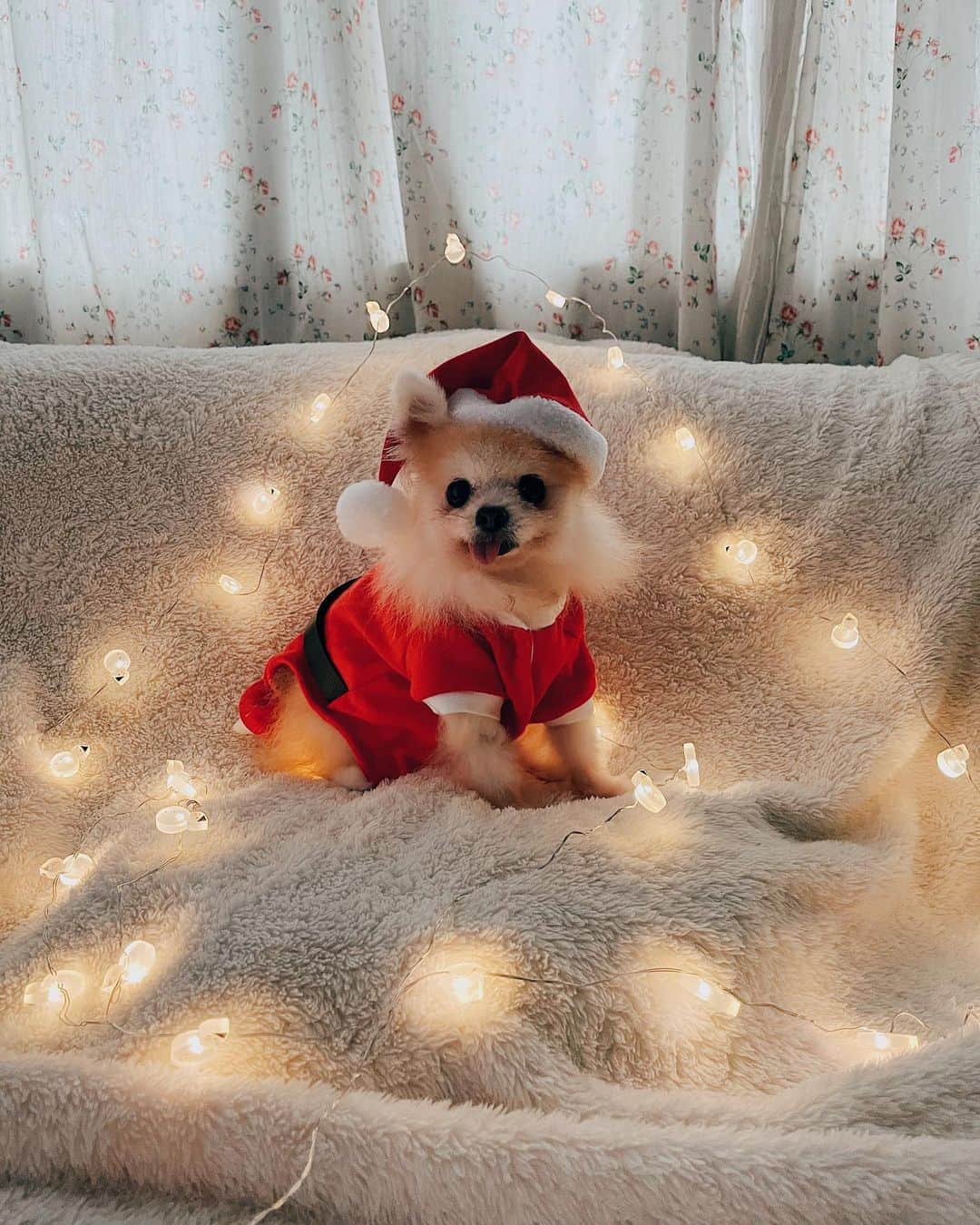 r_oseのインスタグラム：「🎄Merry Christmas🎄 ❤️🐰❤️〰️ #whichoneisyourfavorite #merrychristmas #xmas」