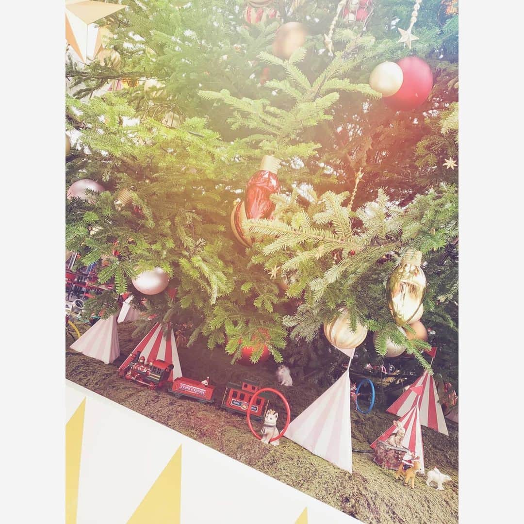 杉原枝利香さんのインスタグラム写真 - (杉原枝利香Instagram)「#merrychristmas ♡♡♡ 宣材写真撮ったときのオフショット📷✨ 撮影はタグ付けしているながやんさんです😊 1個前の投稿高評価で嬉しい😆💕 2枚目以降は私が撮ったツリーだよ♪  . #xmas #christmas #christmastree #横浜 #クリスマス #クリスマスツリー #メリークリスマス #🎄 #🎅 . . #りンご #杉原枝利香 #actress #model  #rq #シードル  #cidre #hardcider #シードルアンバサダー #ambassador #乾杯 #cheers #りんご #林檎 #apple #お酒 #🍎」12月25日 12時24分 - erikasugihara