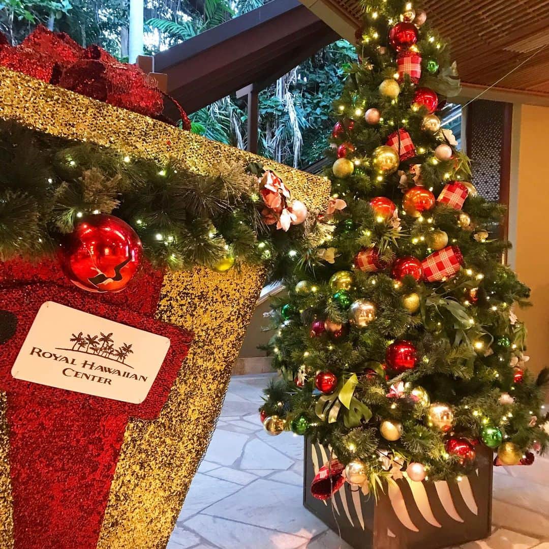 KAUKAU/カウカウハワイさんのインスタグラム写真 - (KAUKAU/カウカウハワイInstagram)「Merry Christmas 🎄🎅🦌 ハワイは明日がクリスマス！ 皆さま素敵なクリスマス、そして年末年始をお過ごし下さい💞  #hawaii #beach #luckywelivehawaii #Oahu #ハワイ #ハワイ景色 #アラモアナセンター #ハワイ絶景 #alamoanacenter #kaukau #kaukauhawaii #カウカウ #カウカウハワイ #christmas #クリスマス #melekalikimaka #メレカリキマカ」12月25日 12時39分 - kaukau_hawaii