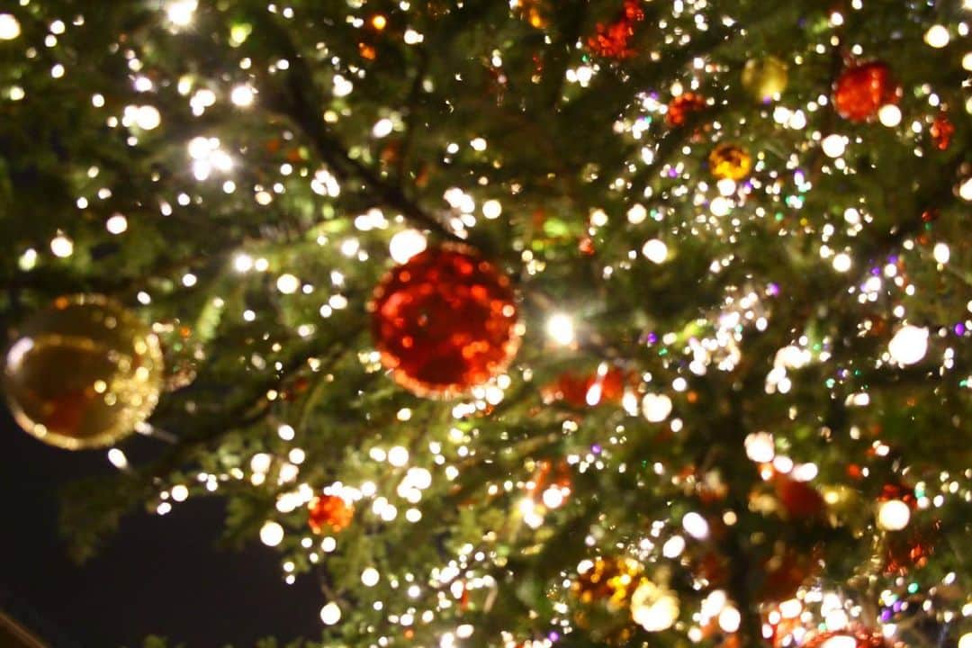 森田望智さんのインスタグラム写真 - (森田望智Instagram)「Merry Christmas🎄」12月25日 12時53分 - misatomorita_official