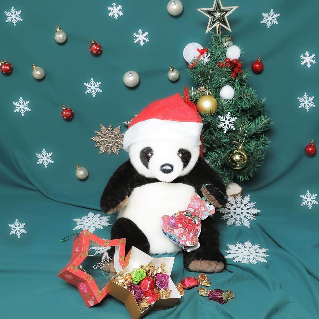のインスタグラム：「Merry Christmas🎅🎁❤️ GODIVAのチョコレートでクリスマスムードを盛り上げよう🎵 星やくまの可愛いパッケージに、本格的なチョコレートが入っているよ🐼💕 クリスマスツリーのオーナメントとして飾ることもできるんだ🎄 お友達へのミニギフトにもおすすめだよ😆✨✨  Merry Christmas🎅🎁❤️ Let’s heat up a Christmas mood with GODIVA’s chocolates♫ There are authentic chocolates in a box!  Star and bear package designs are adorable🐼💕 These chocolates could be ornaments as well🎄 The chocolate box is recommended for a gift for a friend😆✨✨  聖誕快樂🎅🎁❤️ 用GODIVA的巧克力來營造聖誕節氣氛吧🎵 小星星或者小熊形狀的包裝裡，裝滿了真的巧克力🐼💕 也可以用來放在聖誕樹上作為裝飾物🎄 還推薦送給朋友迷你禮品喲😆✨✨  #上野 #アトレ上野 #アトレ #atre #atreueno #パンダ #上野パンダ #上野散策 #熊猫 #東京観光 #PANDA #🐼 #ueno #tokyotour #ぬい撮り #ゴディバ #GODIVA #クリスマスプレゼント #クリスマスギフト #クリスマストーナメント #オーナメント #チョコ好き #ゴディバチョコ #ギフト #プチギフト #クリスマス2020 #クリスマス #godivachocolate #christmaschocolate #christmasgift」