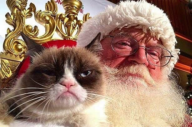 Grumpy Catさんのインスタグラム写真 - (Grumpy CatInstagram)「Have the Worst Christmas Ever!」12月25日 13時06分 - realgrumpycat