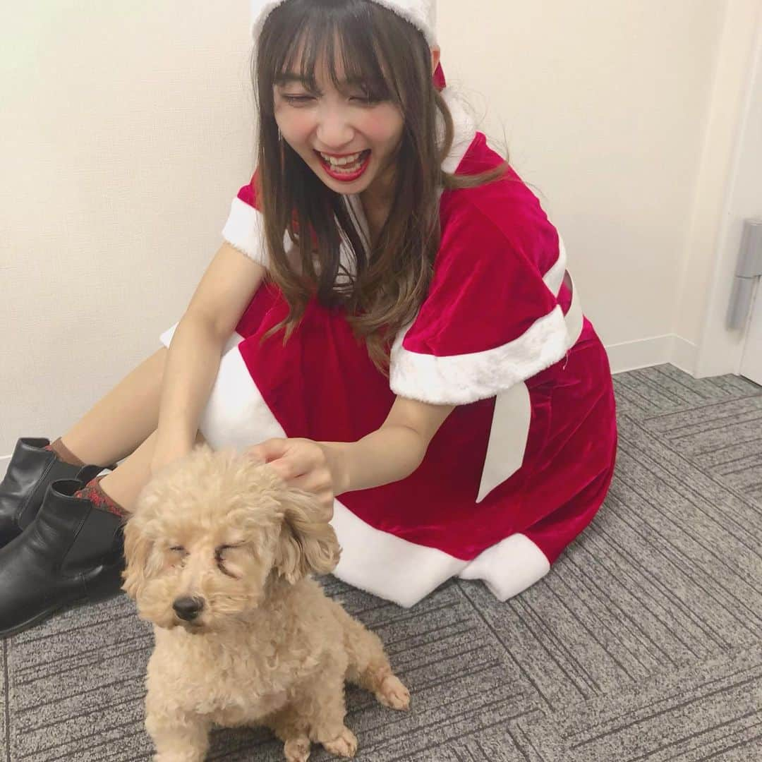 木下綾菜さんのインスタグラム写真 - (木下綾菜Instagram)「昨日はクリスマス配信！ ありがとうございました。🎅🏼🎄🎂🍷🎁⛄️🎉 . このこっちゃん(こば家のわんちゃん) かわいすぎて 昨日から 永遠にニヤニヤしてるので 幸せを共有します。 皆もこれみて 癒されて下さい。 . #クリスマス#クリスマスイブ #クリスマスパーティー #こっちゃん #かわいすぎる」12月25日 13時16分 - kinoshita_ayana