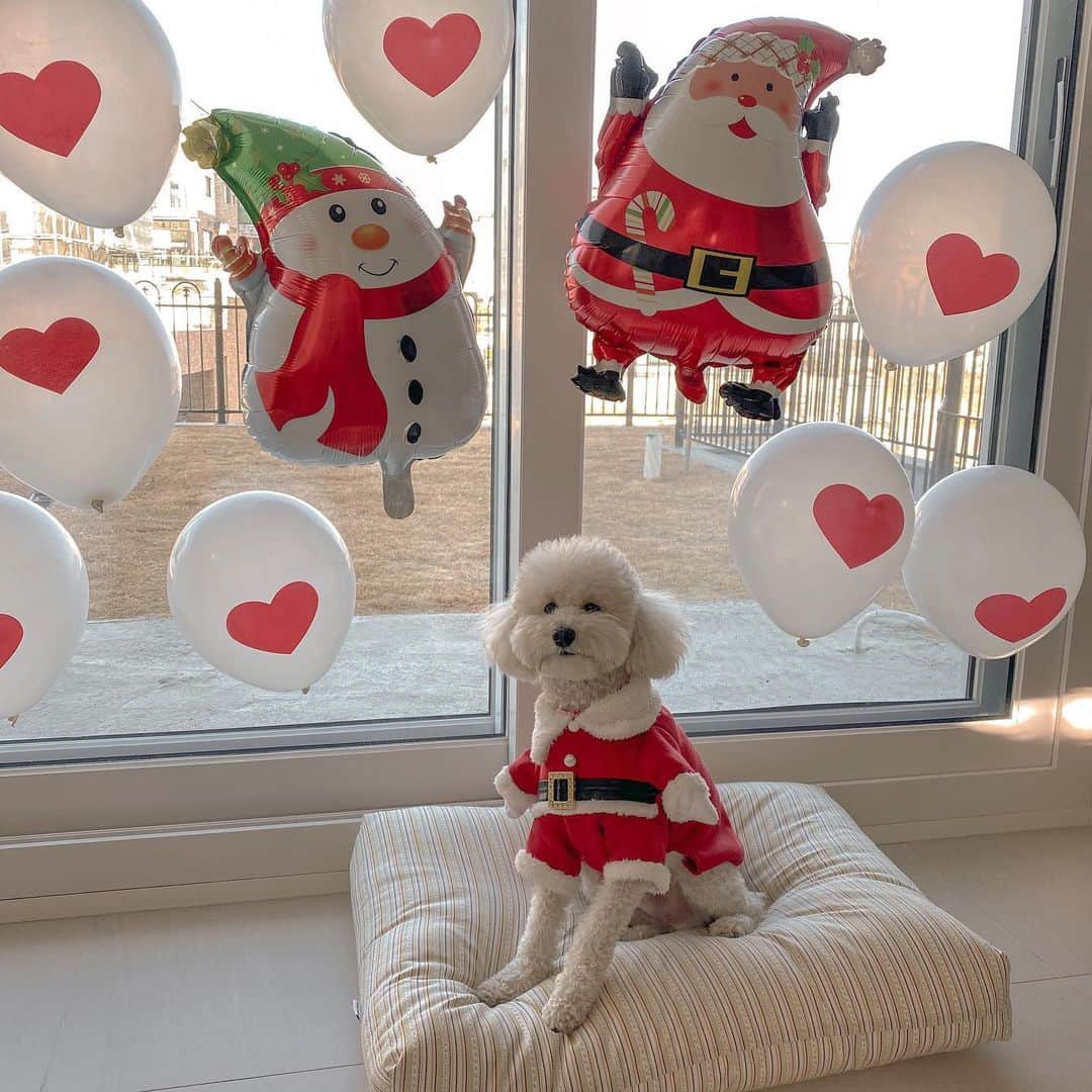 キム・ダヘのインスタグラム：「우리집에서 혼자 크리스마스인 애 🎅🏼🎄」