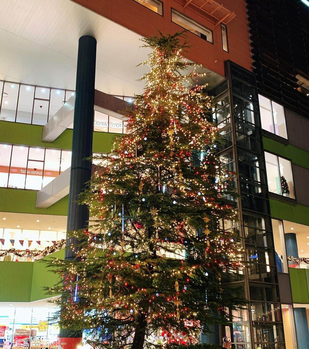 奥山レイカのインスタグラム：「メリクリです！とっても大きなツリー🎄 すごい！野外だからこその大きさ！  #東京ドームシティ #後楽園 #クリスマスツリー」