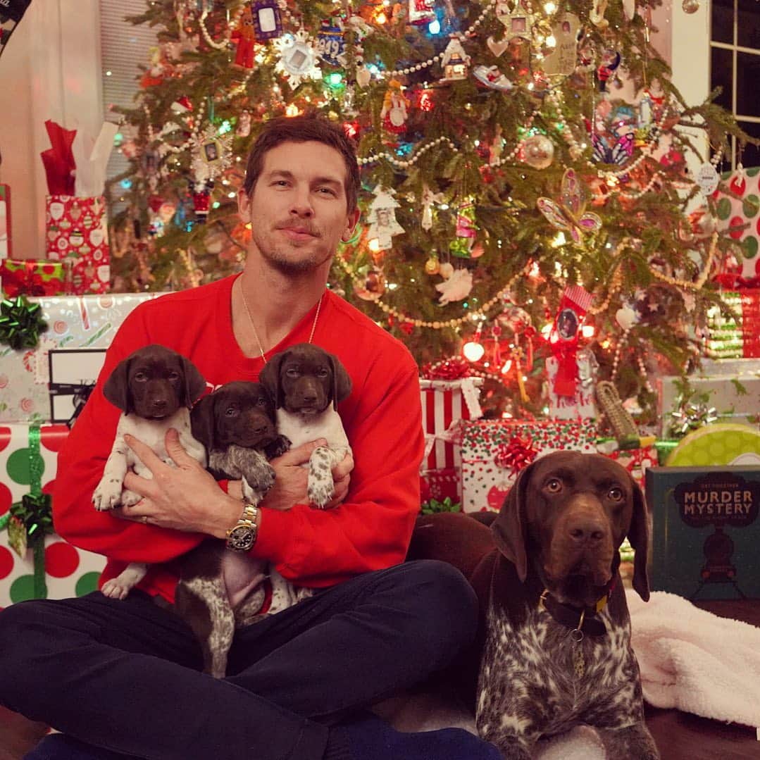 のインスタグラム：「Merry Christmas Eve!!! Brought these three babies back to Texas. There is going to be some happy kids, with life times of memories in the morning!🎄🎁  #merrychristmas #puppies #dogs #germanshorthairedpointer」