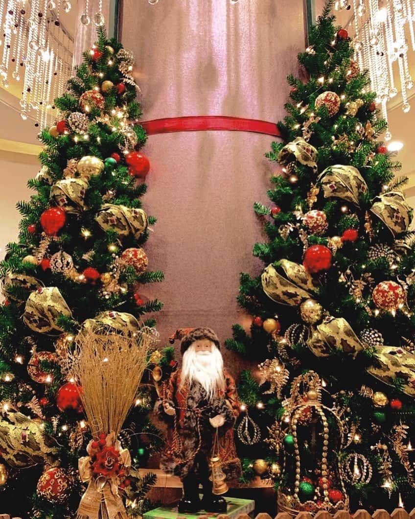 長谷川かすみのインスタグラム：「メリークリスマス🎄 朝からクリスマスソング流して気分上げてる🤲✨✨  楽しい一日を🎄⛄️」
